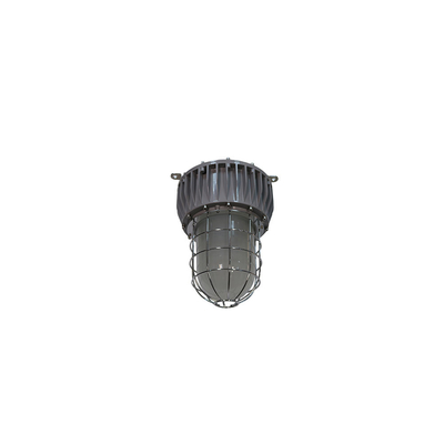 چراغ های LED ضد انفجار ATEX 40-100W IP66