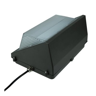 50 وات 80 وات 100 وات LED بسته دیواری نور 120 وات باغ روشنایی بالا
