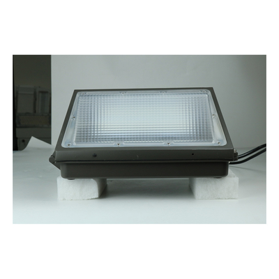 50 وات 80 وات 100 وات LED بسته دیواری نور 120 وات باغ روشنایی بالا